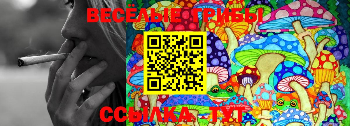 Галлюциногенные грибы Psilocybe  Галлюциногенные грибы мухоморы  Вход с VPN  Елец 